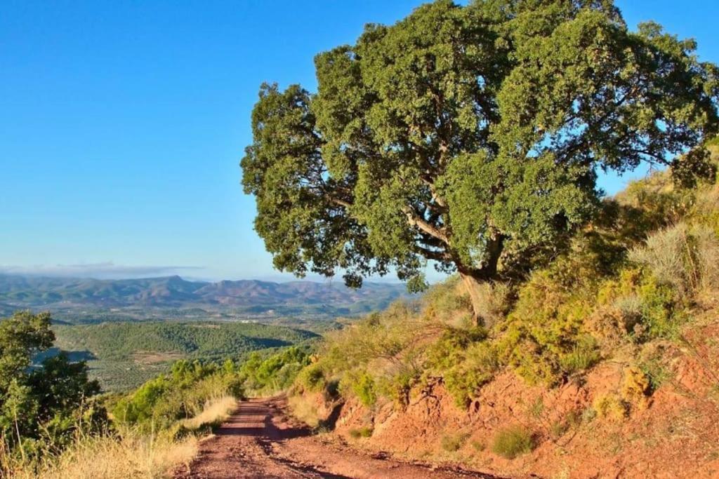 Piso Sierra Calderona A 15 Minutos Del Mar Estivellaアパートメント エクステリア 写真