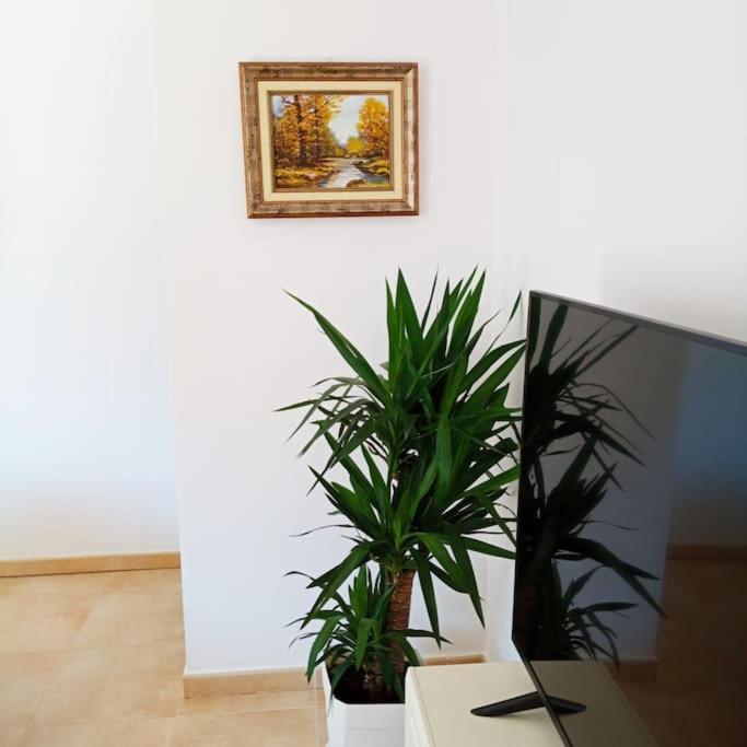 Piso Sierra Calderona A 15 Minutos Del Mar Estivellaアパートメント エクステリア 写真